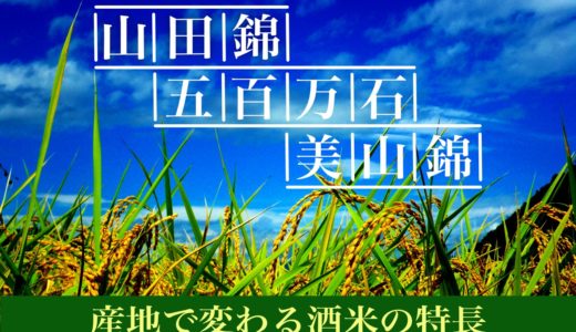 収穫を迎えたお米